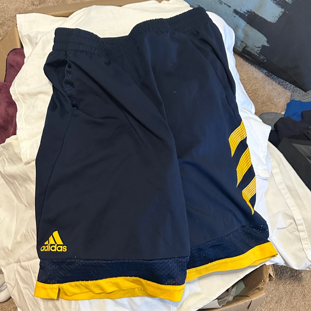 1 pair if Adidas and 1 Nike basketball short like new hardly used